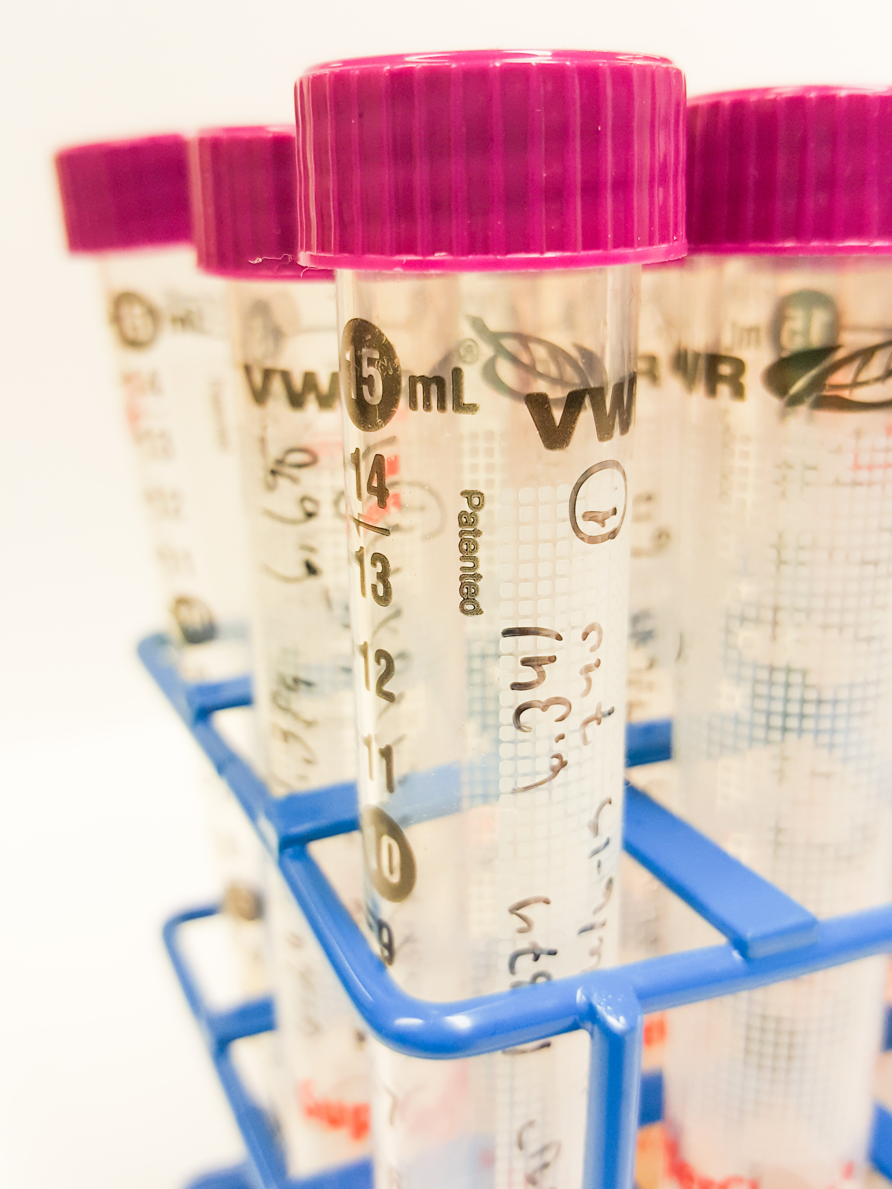 20190711_130910_edited%20light