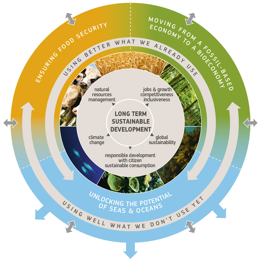 bioeconomy_graphic_full